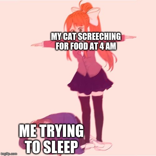 MY CAT SCREECHING FOR FOOD AT 4 AM; ME TRYING TO SLEEP | image tagged in cats,funny | made w/ Imgflip meme maker