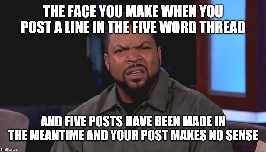 Really? Ice Cube | THE FACE YOU MAKE WHEN YOU POST A LINE IN THE FIVE WORD THREAD; AND FIVE POSTS HAVE BEEN MADE IN THE MEANTIME AND YOUR POST MAKES NO SENSE | image tagged in really ice cube | made w/ Imgflip meme maker