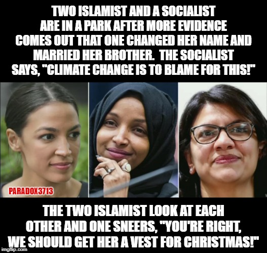 So new news is out that more and more evidence is being found in Ilhan Omar's scandal. | TWO ISLAMIST AND A SOCIALIST ARE IN A PARK AFTER MORE EVIDENCE COMES OUT THAT ONE CHANGED HER NAME AND MARRIED HER BROTHER.  THE SOCIALIST SAYS, "CLIMATE CHANGE IS TO BLAME FOR THIS!"; PARADOX3713; THE TWO ISLAMIST LOOK AT EACH OTHER AND ONE SNEERS, "YOU'RE RIGHT, WE SHOULD GET HER A VEST FOR CHRISTMAS!" | image tagged in memes,aoc,liberals,politics,islam,pelosi | made w/ Imgflip meme maker