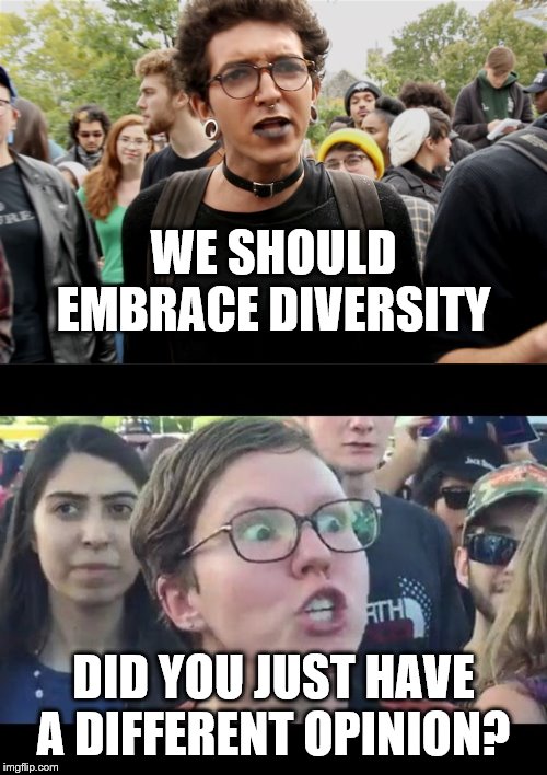 WE SHOULD EMBRACE DIVERSITY; DID YOU JUST HAVE A DIFFERENT OPINION? | image tagged in angry sjw,sjw thing1 | made w/ Imgflip meme maker
