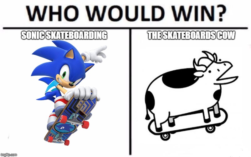 Who Would Win? Meme | SONIC SKATEBOARDING; THE SKATEBOARDS COW | image tagged in memes,who would win | made w/ Imgflip meme maker