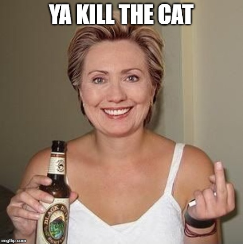 Hillary | YA KILL THE CAT | image tagged in hillary | made w/ Imgflip meme maker