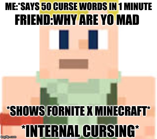 ME:*SAYS 50 CURSE WORDS IN 1 MINUTE; FRIEND:WHY ARE YO MAD; *SHOWS FORNITE X MINECRAFT*; *INTERNAL CURSING* | image tagged in fortnite,minecraft,shit | made w/ Imgflip meme maker