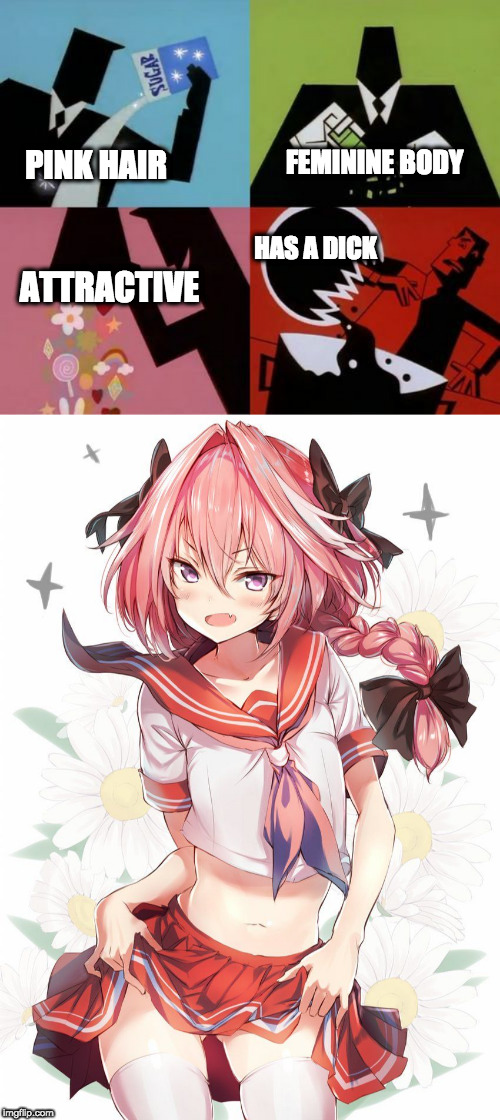 Beware of the Anime Traps | FEMININE BODY; PINK HAIR; HAS A DICK; ATTRACTIVE | image tagged in powerpuff girls creation,anime,traps,memes | made w/ Imgflip meme maker