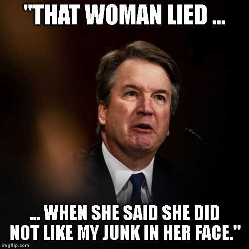 Bailiff, Wack His Pee-Pee | "THAT WOMAN LIED ... ... WHEN SHE SAID SHE DID NOT LIKE MY JUNK IN HER FACE." | image tagged in supreme court injustice,blackout,go home youre drunk,impeach,raging kavanaugh,brett kavanaugh | made w/ Imgflip meme maker