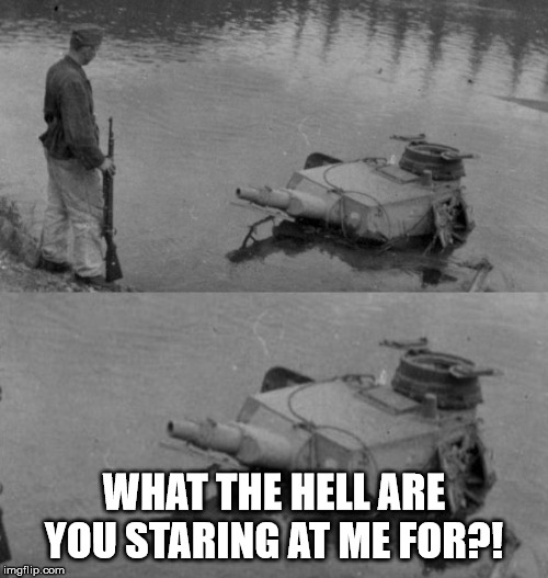 Panzer of the lake | WHAT THE HELL ARE YOU STARING AT ME FOR?! | image tagged in panzer of the lake | made w/ Imgflip meme maker