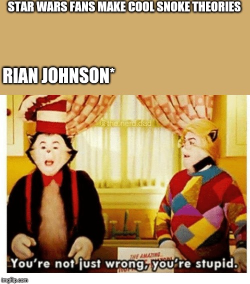 You're not just wrong your stupid | STAR WARS FANS MAKE COOL SNOKE THEORIES; RIAN JOHNSON* | image tagged in you're not just wrong your stupid | made w/ Imgflip meme maker