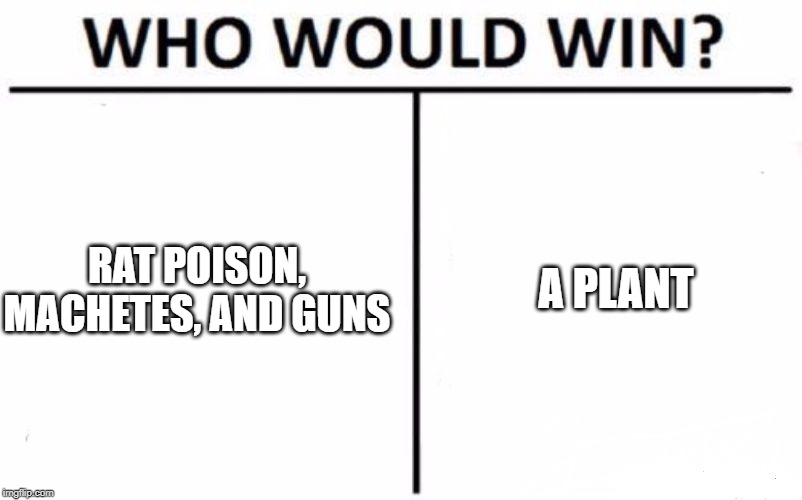 Who Would Win? | A PLANT; RAT POISON, MACHETES, AND GUNS | image tagged in memes,who would win | made w/ Imgflip meme maker