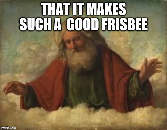 god | THAT IT MAKES SUCH A  GOOD FRISBEE | image tagged in god | made w/ Imgflip meme maker