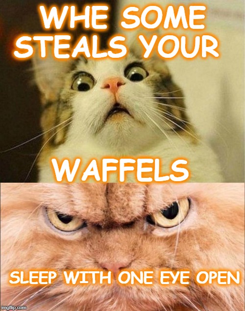 WHE SOME STEALS YOUR; WAFFELS; SLEEP WITH ONE EYE OPEN | image tagged in memes,scared cat | made w/ Imgflip meme maker