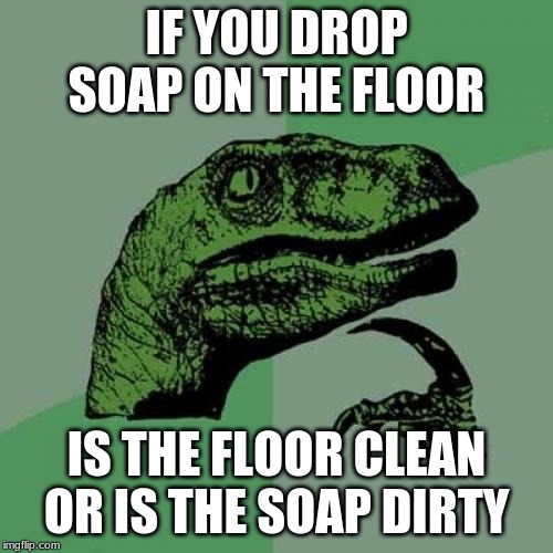 Philosoraptor Meme | IF YOU DROP SOAP ON THE FLOOR; IS THE FLOOR CLEAN OR IS THE SOAP DIRTY | image tagged in memes,philosoraptor | made w/ Imgflip meme maker