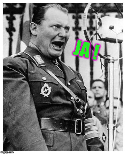 Hermann Goering | JA ! | image tagged in hermann goering | made w/ Imgflip meme maker