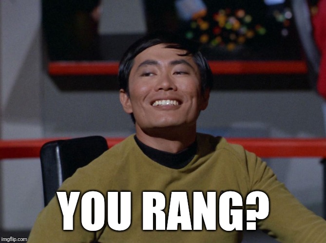 Sulu smug | YOU RANG? | image tagged in sulu smug | made w/ Imgflip meme maker