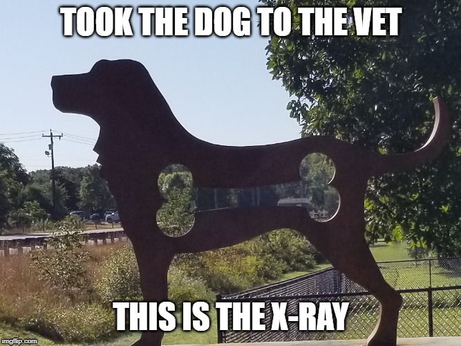 dog bone | TOOK THE DOG TO THE VET; THIS IS THE X-RAY | image tagged in animals | made w/ Imgflip meme maker