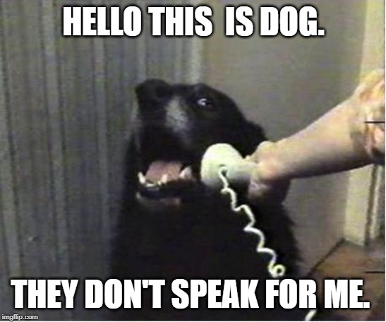 Yes this is dog | HELLO THIS  IS DOG. THEY DON'T SPEAK FOR ME. | image tagged in yes this is dog | made w/ Imgflip meme maker