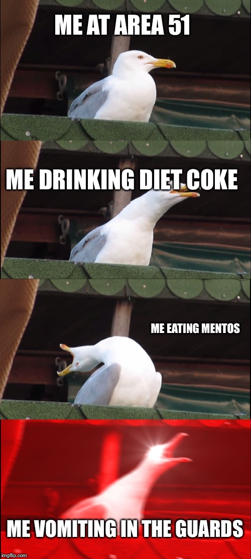 Inhaling Seagull | ME AT AREA 51; ME DRINKING DIET COKE; ME EATING MENTOS; ME VOMITING IN THE GUARDS | image tagged in memes,inhaling seagull | made w/ Imgflip meme maker