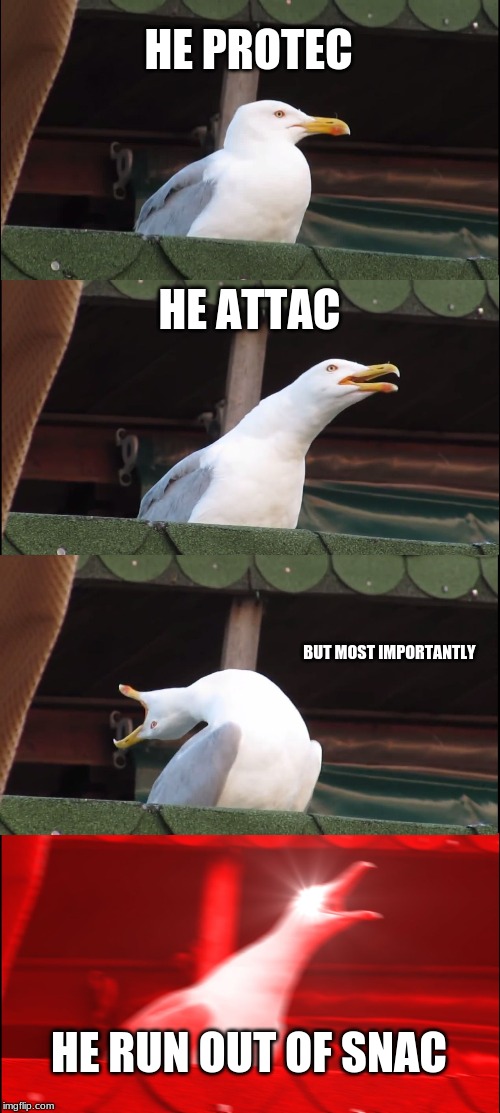 Inhaling Seagull | HE PROTEC; HE ATTAC; BUT MOST IMPORTANTLY; HE RUN OUT OF SNAC | image tagged in memes,inhaling seagull | made w/ Imgflip meme maker