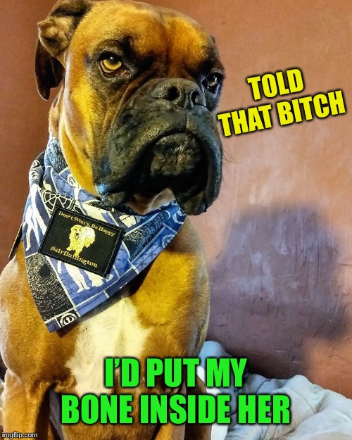 Grumpy Dog | TOLD THAT B**CH I’D PUT MY BONE INSIDE HER | image tagged in grumpy dog | made w/ Imgflip meme maker