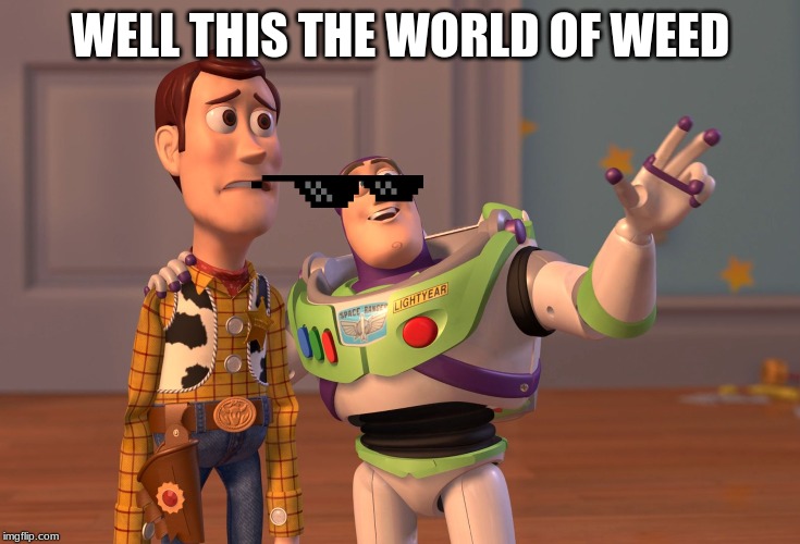 X, X Everywhere | WELL THIS THE WORLD OF WEED | image tagged in memes,x x everywhere | made w/ Imgflip meme maker