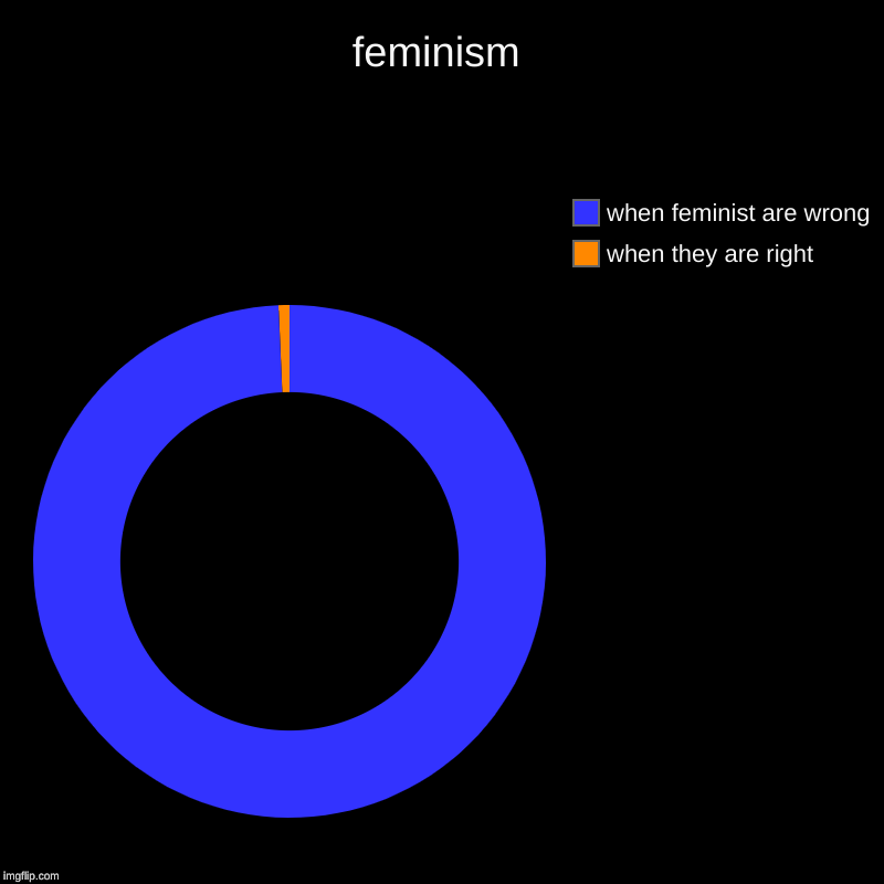 feminism | when they are right, when feminist are wrong | image tagged in charts,donut charts | made w/ Imgflip chart maker
