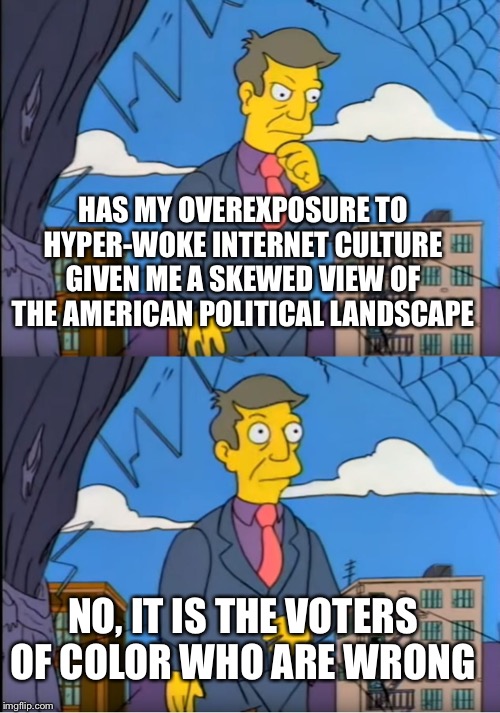 Skinner Out Of Touch | HAS MY OVEREXPOSURE TO HYPER-WOKE INTERNET CULTURE GIVEN ME A SKEWED VIEW OF THE AMERICAN POLITICAL LANDSCAPE; NO, IT IS THE VOTERS OF COLOR WHO ARE WRONG | image tagged in skinner out of touch | made w/ Imgflip meme maker