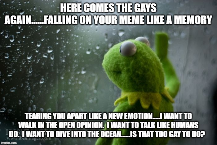 kermit window | HERE COMES THE GAYS AGAIN......FALLING ON YOUR MEME LIKE A MEMORY; TEARING YOU APART LIKE A NEW EMOTION.....I WANT TO WALK IN THE OPEN OPINION.  I WANT TO TALK LIKE HUMANS DO.  I WANT TO DIVE INTO THE OCEAN......IS THAT TOO GAY TO DO? | image tagged in kermit window | made w/ Imgflip meme maker