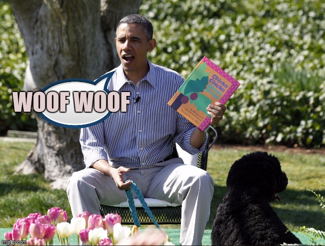 WOOF WOOF | image tagged in the great awakening,obama,funny dogs,idiot,wally world,barack obama | made w/ Imgflip meme maker