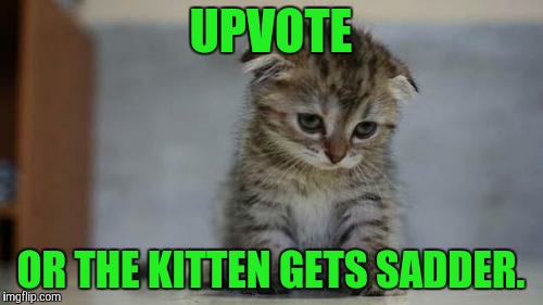 Do it for the kitten. | UPVOTE; OR THE KITTEN GETS SADDER. | image tagged in sad kitten,sad,kitten,cats,memes,upvote | made w/ Imgflip meme maker