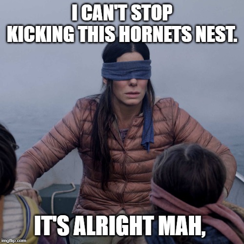 Bird Box Meme | I CAN'T STOP KICKING THIS HORNETS NEST. IT'S ALRIGHT MAH, | image tagged in memes,bird box | made w/ Imgflip meme maker