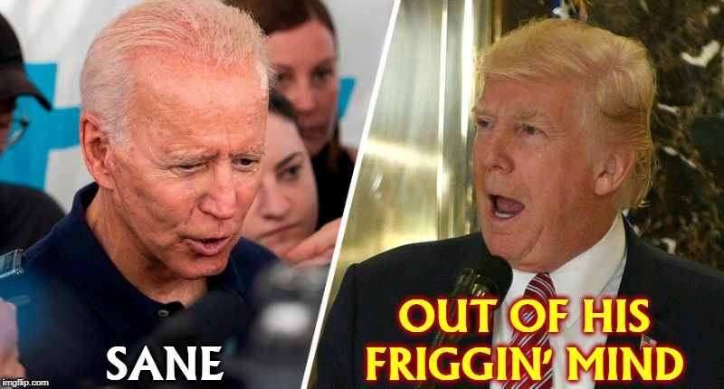 OUT OF HIS FRIGGIN' MIND; SANE | image tagged in biden,sane,trump,crazy,insane,nuts | made w/ Imgflip meme maker