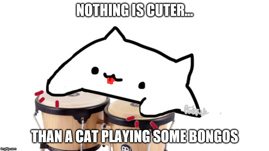 Bongo Cat | NOTHING IS CUTER... THAN A CAT PLAYING SOME BONGOS | image tagged in bongo cat | made w/ Imgflip meme maker