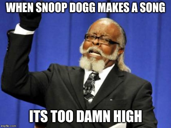Too Damn High Meme | WHEN SNOOP DOGG MAKES A SONG; ITS TOO DAMN HIGH | image tagged in memes,too damn high | made w/ Imgflip meme maker