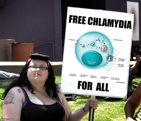 sjw with sign | FREE CHLAMYDIA FOR  ALL | image tagged in sjw with sign | made w/ Imgflip meme maker