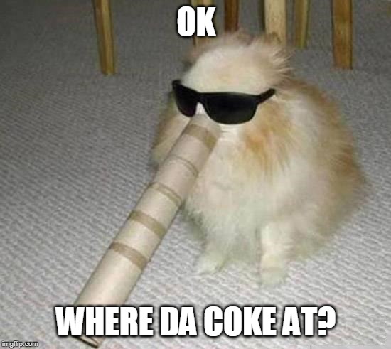 THATS A BIG STRAW | OK; WHERE DA COKE AT? | image tagged in cocaine,doge | made w/ Imgflip meme maker