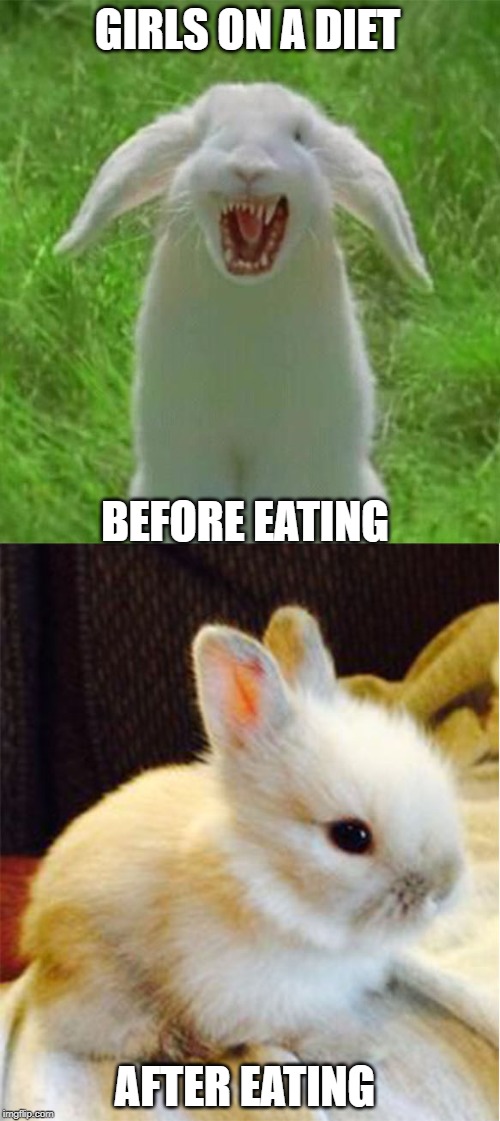 Diet | GIRLS ON A DIET; BEFORE EATING; AFTER EATING | image tagged in dieting,eating | made w/ Imgflip meme maker