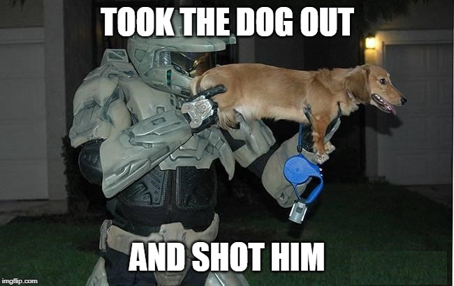 DOGE GUN | TOOK THE DOG OUT; AND SHOT HIM | image tagged in doge,dogs | made w/ Imgflip meme maker