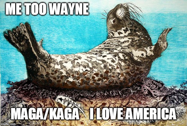 ME TOO WAYNE MAGA/KAGA    I LOVE AMERICA | made w/ Imgflip meme maker