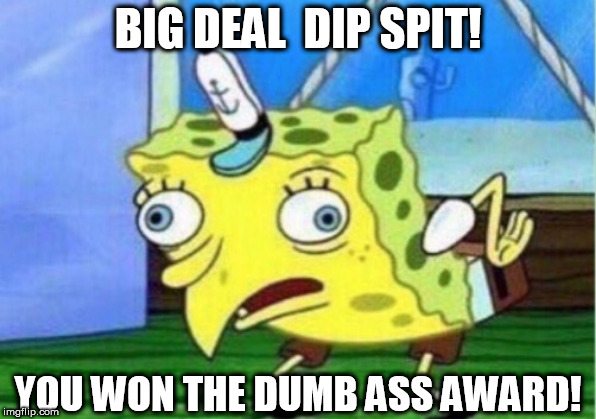 Mocking Spongebob Meme | BIG DEAL  DIP SPIT! YOU WON THE DUMB ASS AWARD! | image tagged in memes,mocking spongebob | made w/ Imgflip meme maker