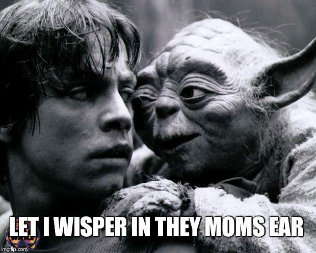 Yoda & Luke | LET I WISPER IN THEY MOMS EAR | image tagged in yoda  luke | made w/ Imgflip meme maker