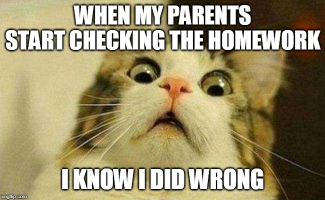 WHEN MY PARENTS START CHECKING THE HOMEWORK; I KNOW I DID WRONG | image tagged in homework | made w/ Imgflip meme maker