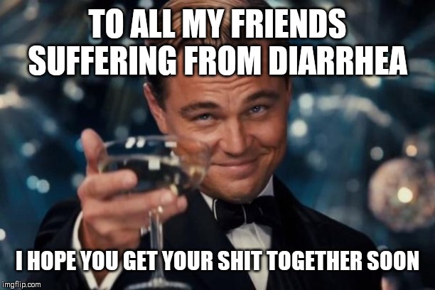 Leonardo Dicaprio Cheers | TO ALL MY FRIENDS SUFFERING FROM DIARRHEA; I HOPE YOU GET YOUR SHIT TOGETHER SOON | image tagged in memes,leonardo dicaprio cheers | made w/ Imgflip meme maker