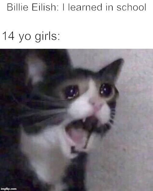 Billie Eilish: I learned in school; 14 yo girls: | image tagged in blank white template,crying cat | made w/ Imgflip meme maker