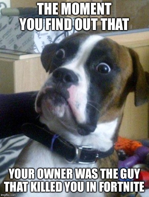 Suprised Boxer | THE MOMENT YOU FIND OUT THAT; YOUR OWNER WAS THE GUY THAT KILLED YOU IN FORTNITE | image tagged in suprised boxer | made w/ Imgflip meme maker