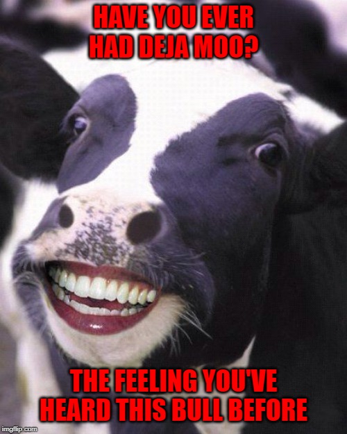We've all been there I think... | HAVE YOU EVER HAD DEJA MOO? THE FEELING YOU'VE HEARD THIS BULL BEFORE | image tagged in cow smiles,memes,deja moo,funny,been there,bull | made w/ Imgflip meme maker
