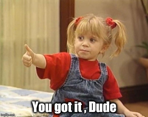 You got it... | You got it , Dude | image tagged in you got it | made w/ Imgflip meme maker