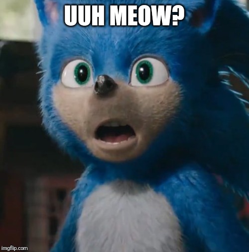 Sonic Movie | UUH MEOW? | image tagged in sonic movie | made w/ Imgflip meme maker