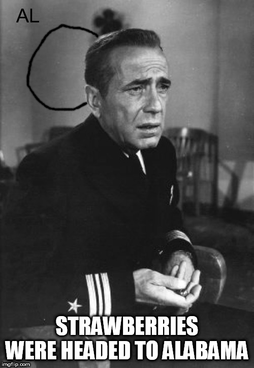 The Caine Mutiny - Alabama Strawberries | AL; STRAWBERRIES WERE HEADED TO ALABAMA | image tagged in caine mutiny,humphrey bogart,1954,dorian,sharpie,captain queeg | made w/ Imgflip meme maker
