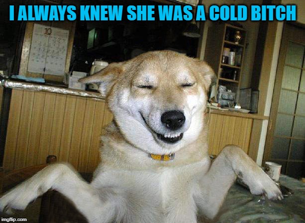 I ALWAYS KNEW SHE WAS A COLD B**CH | made w/ Imgflip meme maker