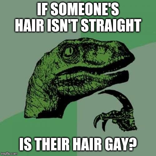 Philosoraptor | IF SOMEONE'S HAIR ISN'T STRAIGHT; IS THEIR HAIR GAY? | image tagged in memes,philosoraptor | made w/ Imgflip meme maker
