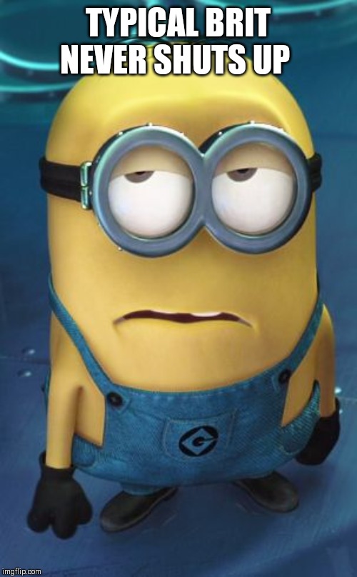Minion Eye Roll | TYPICAL BRIT NEVER SHUTS UP | image tagged in minion eye roll | made w/ Imgflip meme maker